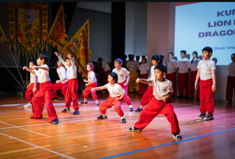 2026 Lunar New Year Festival- Chinese Community Center